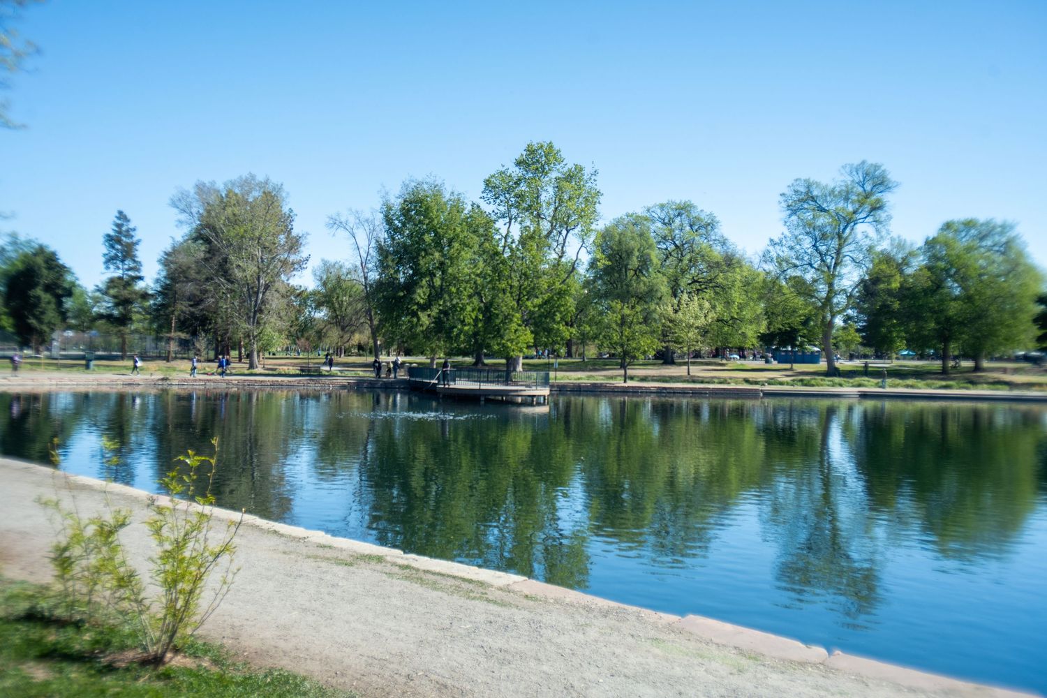 Calm park pond reflecting green trees under a clear blue sky on a sunny day.