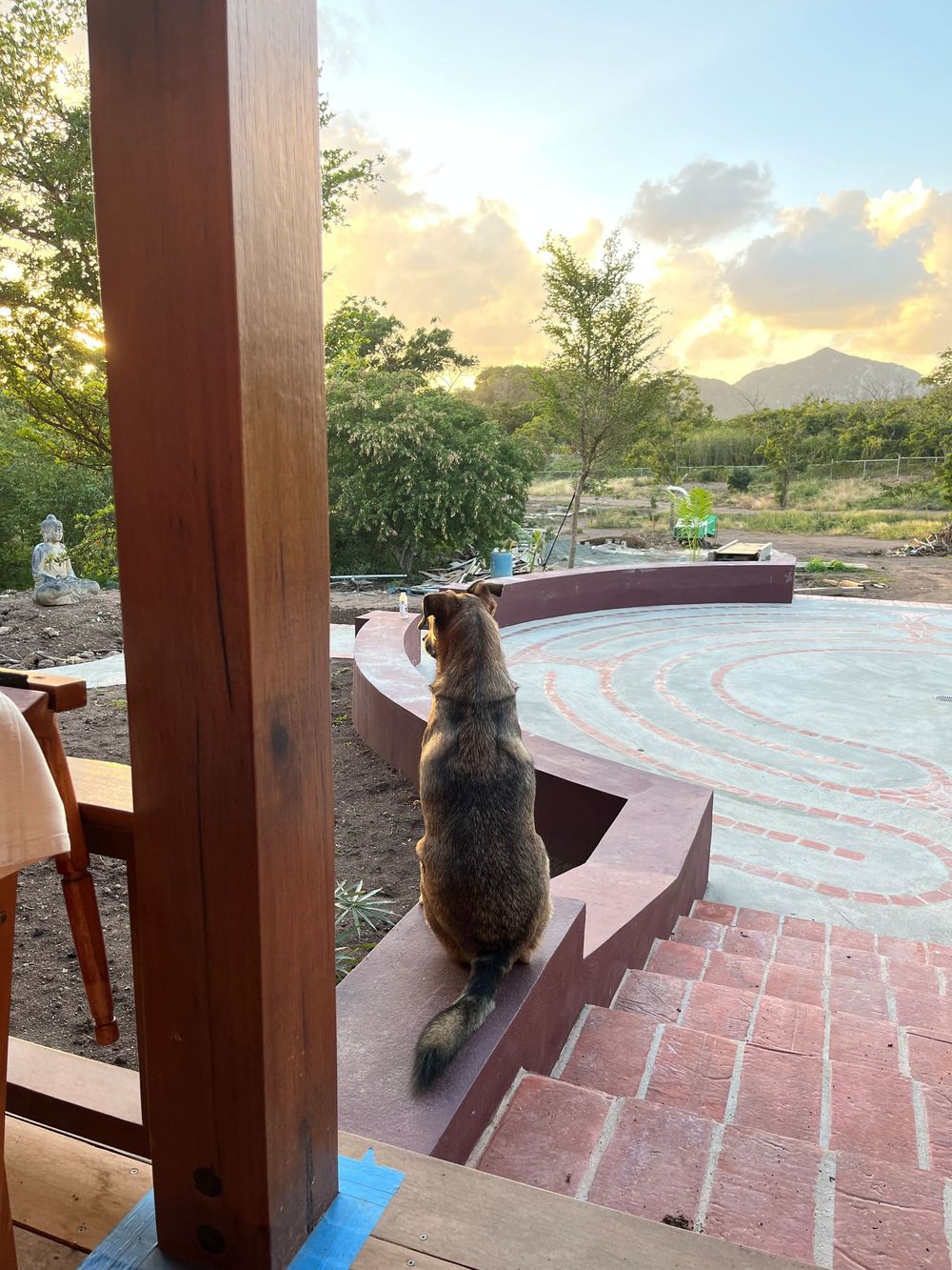 A tabby cat sits on brick patio steps gazing at a circular stone labyrinth garden at sunset.