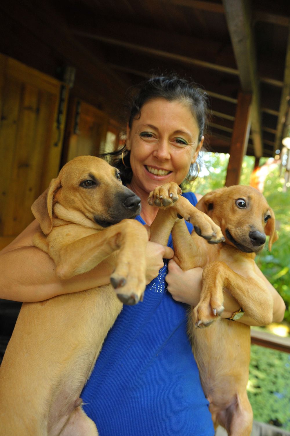 Smiling woman in blue shirt holding two adorable brown Labrador mix puppies outdoors near a wooden structure.