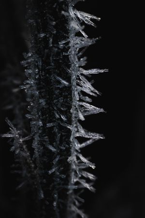 Kuura aamu/
Jääkiteet
2023
20x30 80€