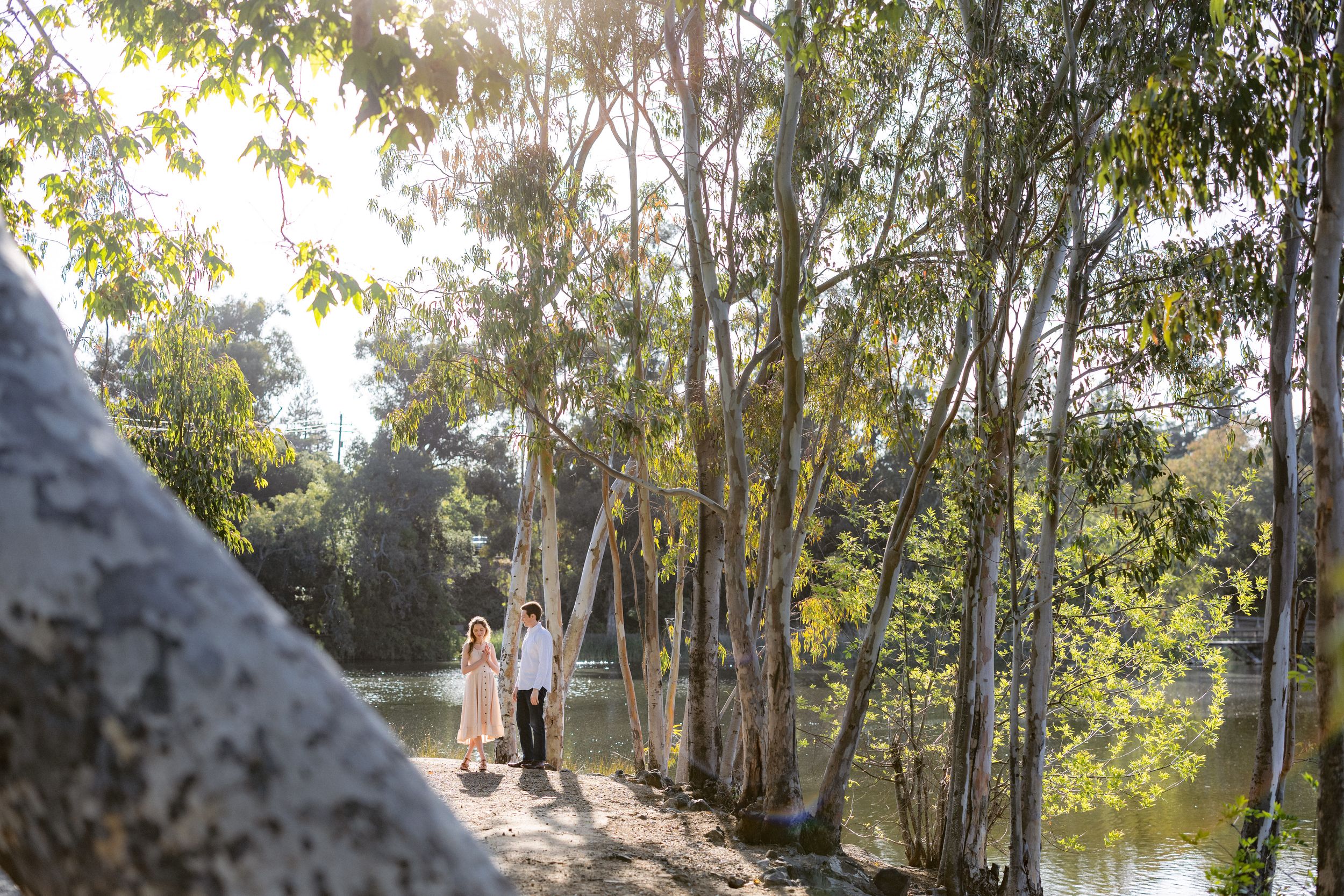 Spring Bay Area engagement photos