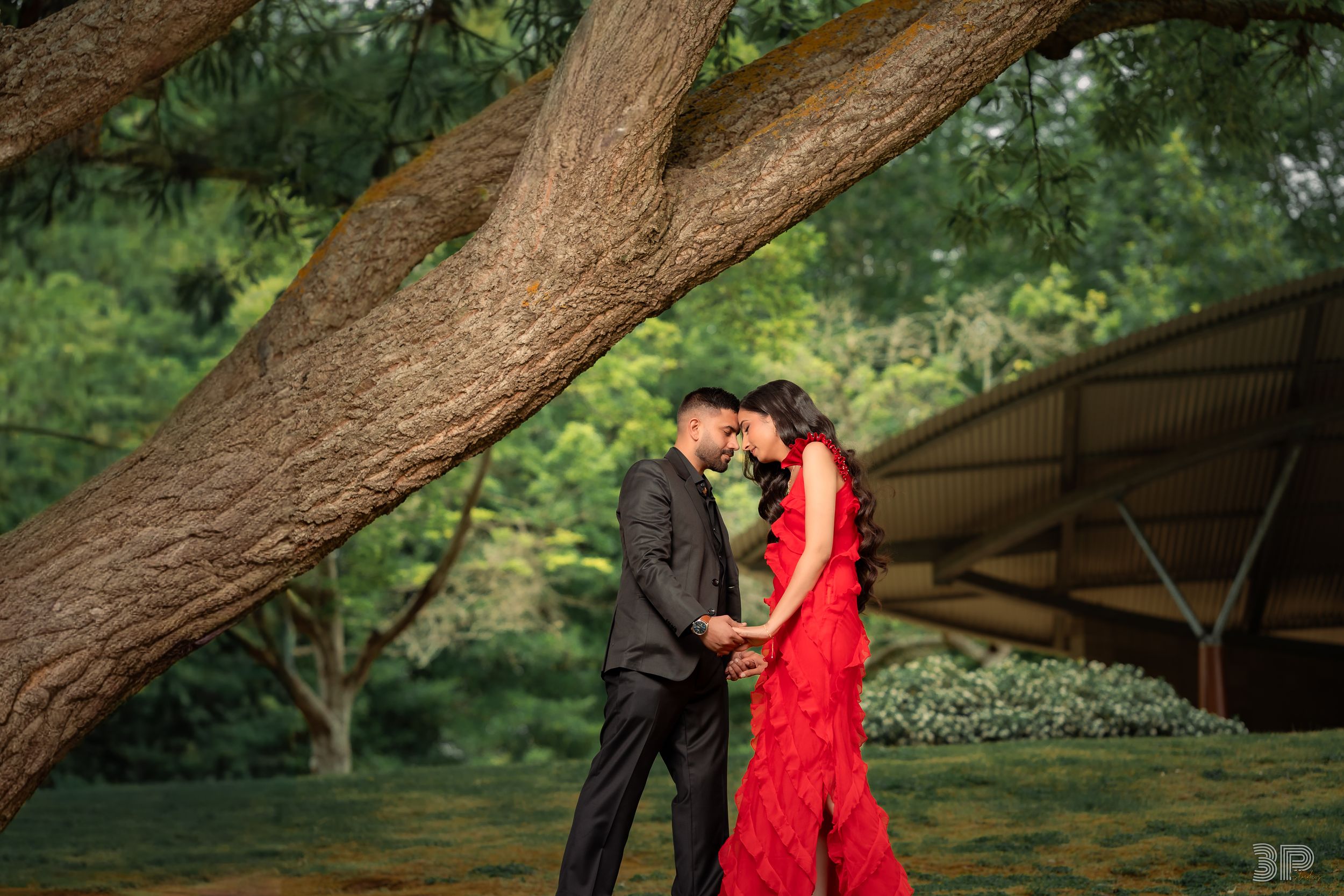 A romantic engagement photo session under a large tree branch with the couple wearing red and black attire.