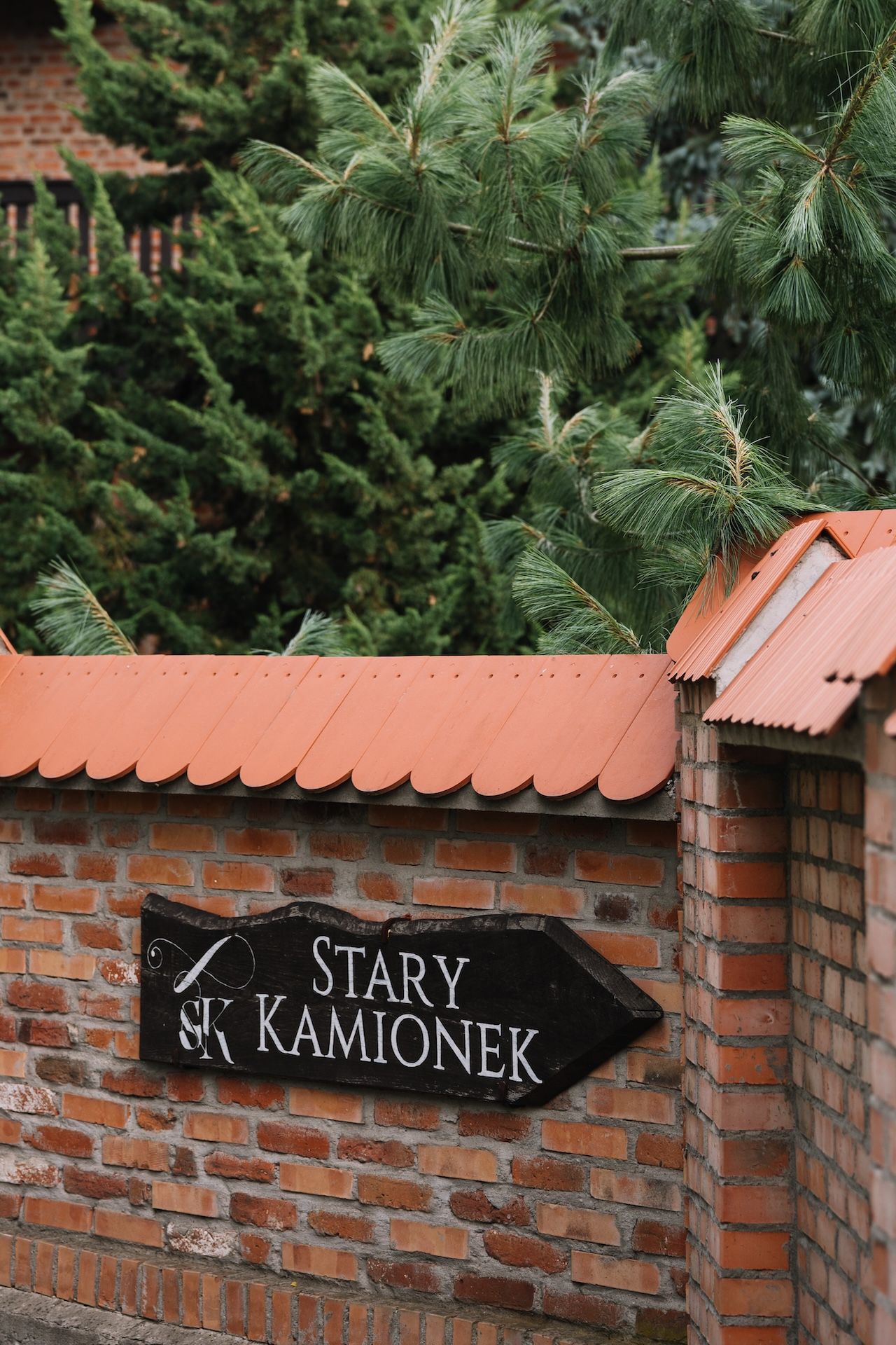 Wesele w Stary Kamionek