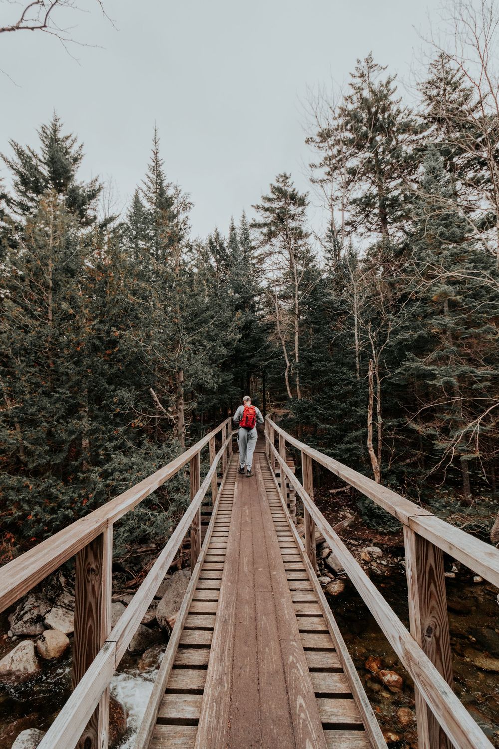 Wooden suspension bridge stretches across a forested mountain landscape.