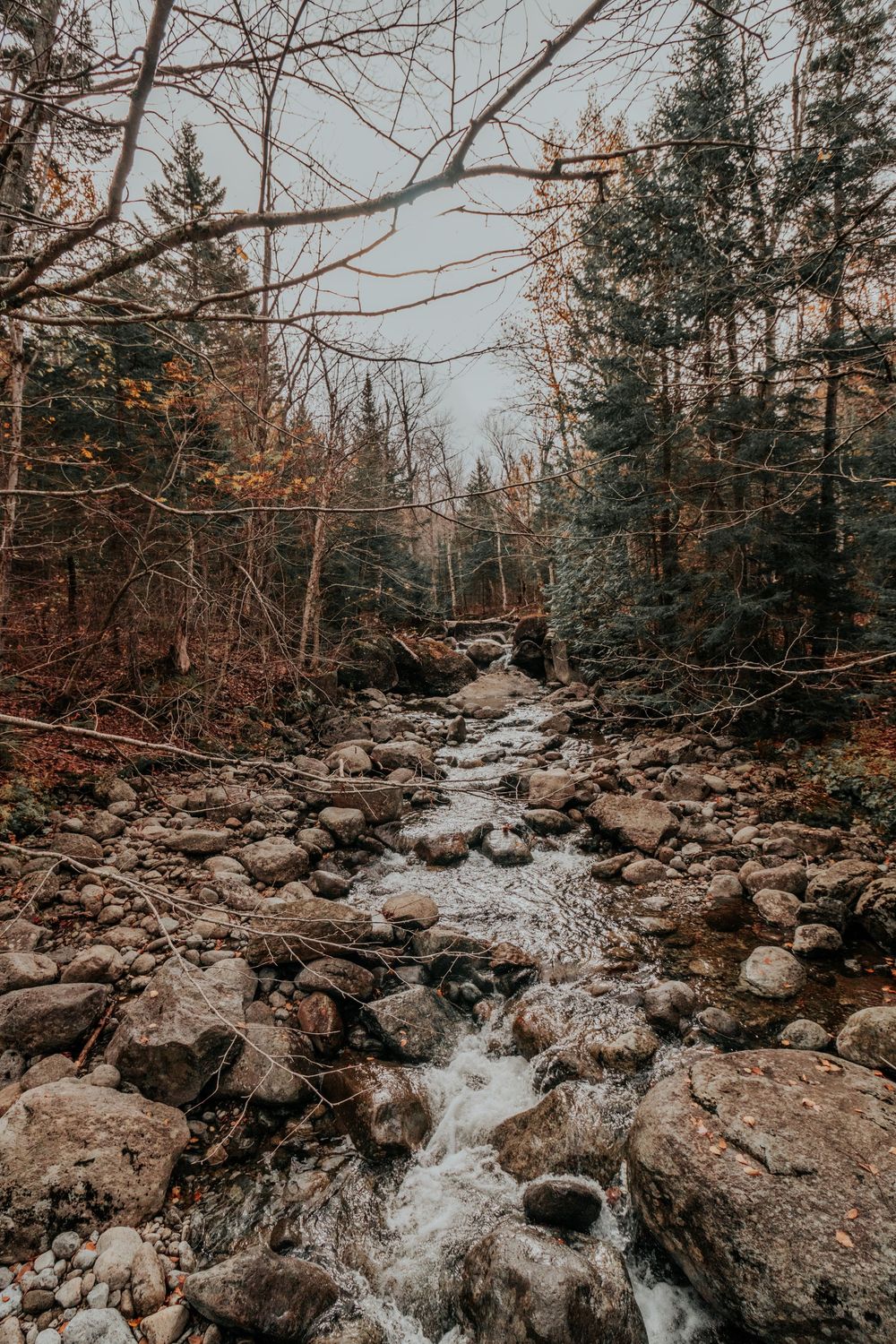 Rocky mountain stream flowing through evergreen forest in autumn.