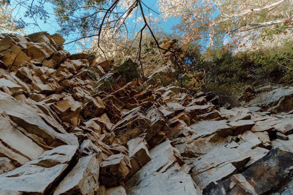 Panoramic view of rocky mountain terrain with scattered trees and blue sky.