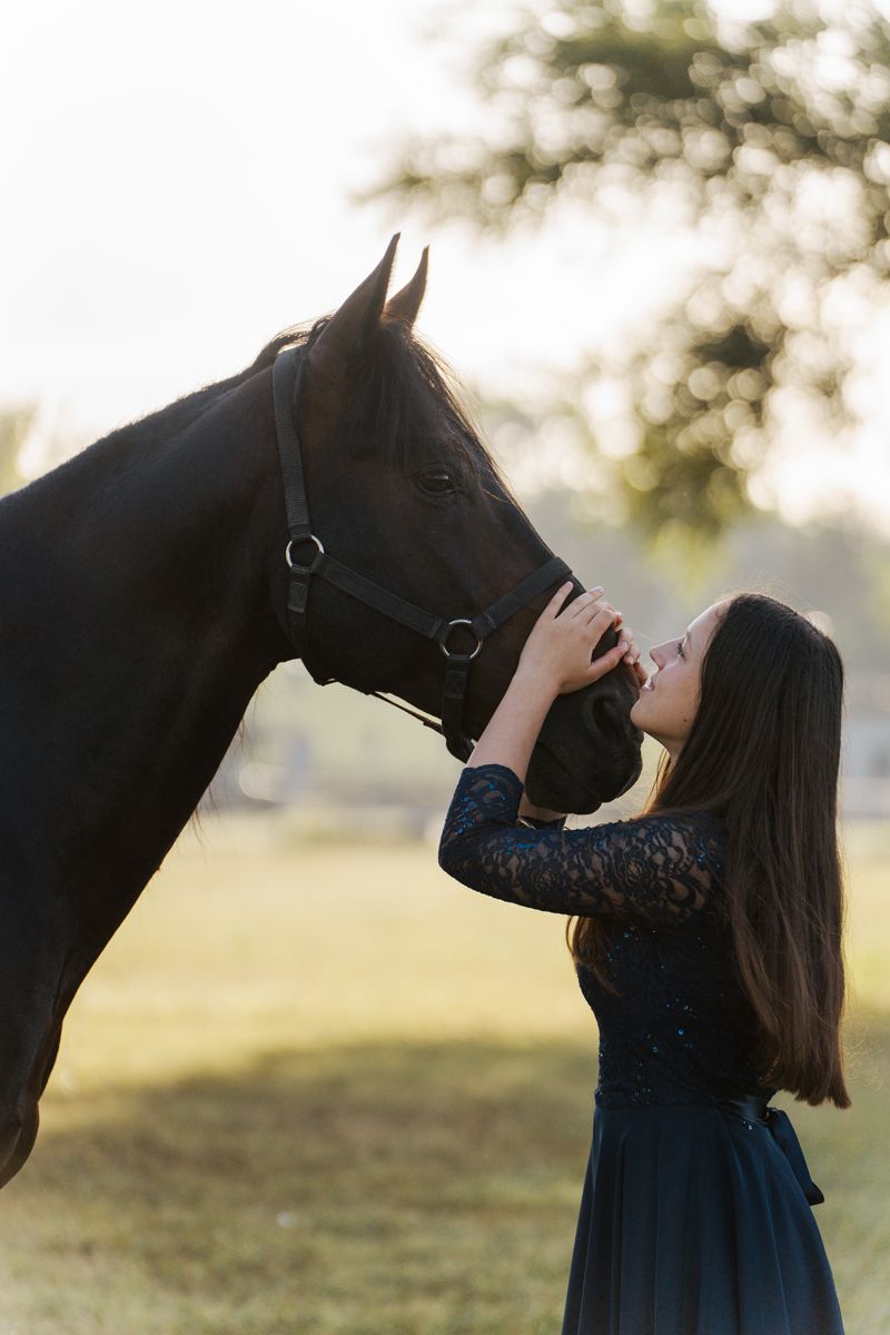 A woman in a navy blue dress shares an intimate moment with a black horse in a sunlit field at golden hour photoshoot in sydney