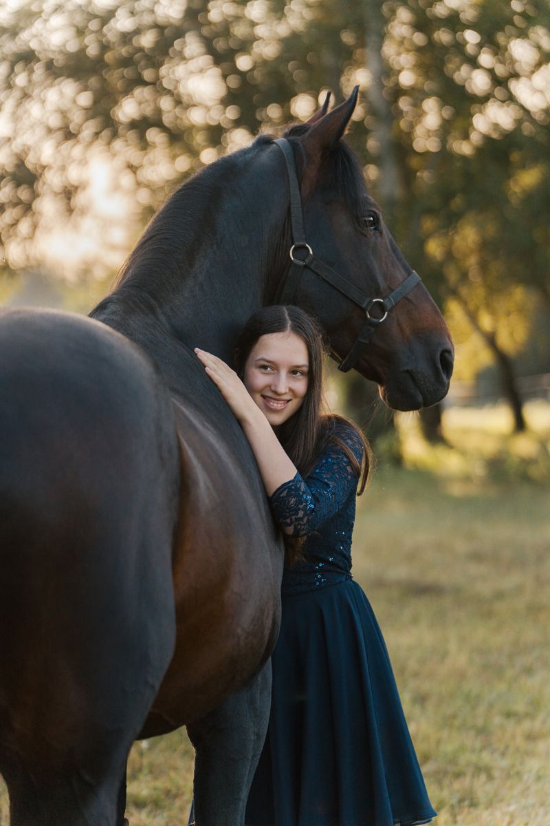 A majestic dark horse and someone in a navy blue dress pose together in a sunlit meadow at golden hour photoshoot in sydney with a horse