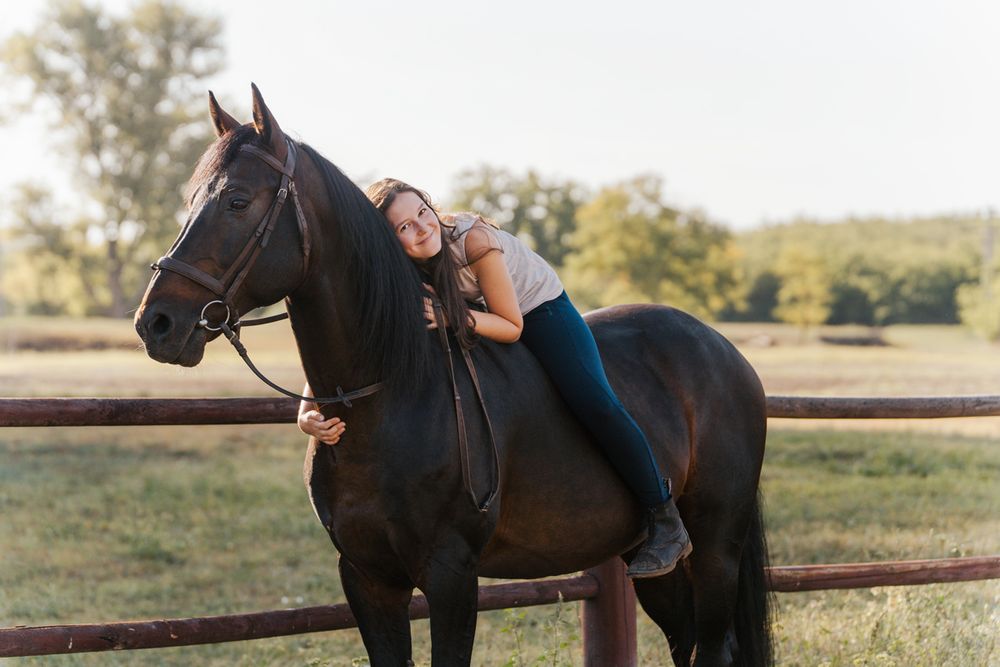 Photo showing a dark brown horse being ridden in an outdoor paddock during a sunny day during a photoshoot in Sydney