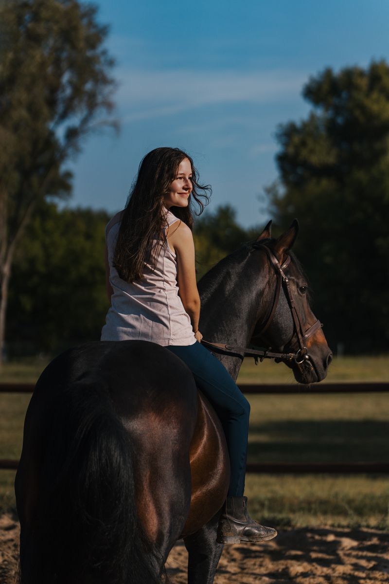 A dark horse and rider share a peaceful moment in a sunlit field against a blue sky backdrop photoshoot in sydney