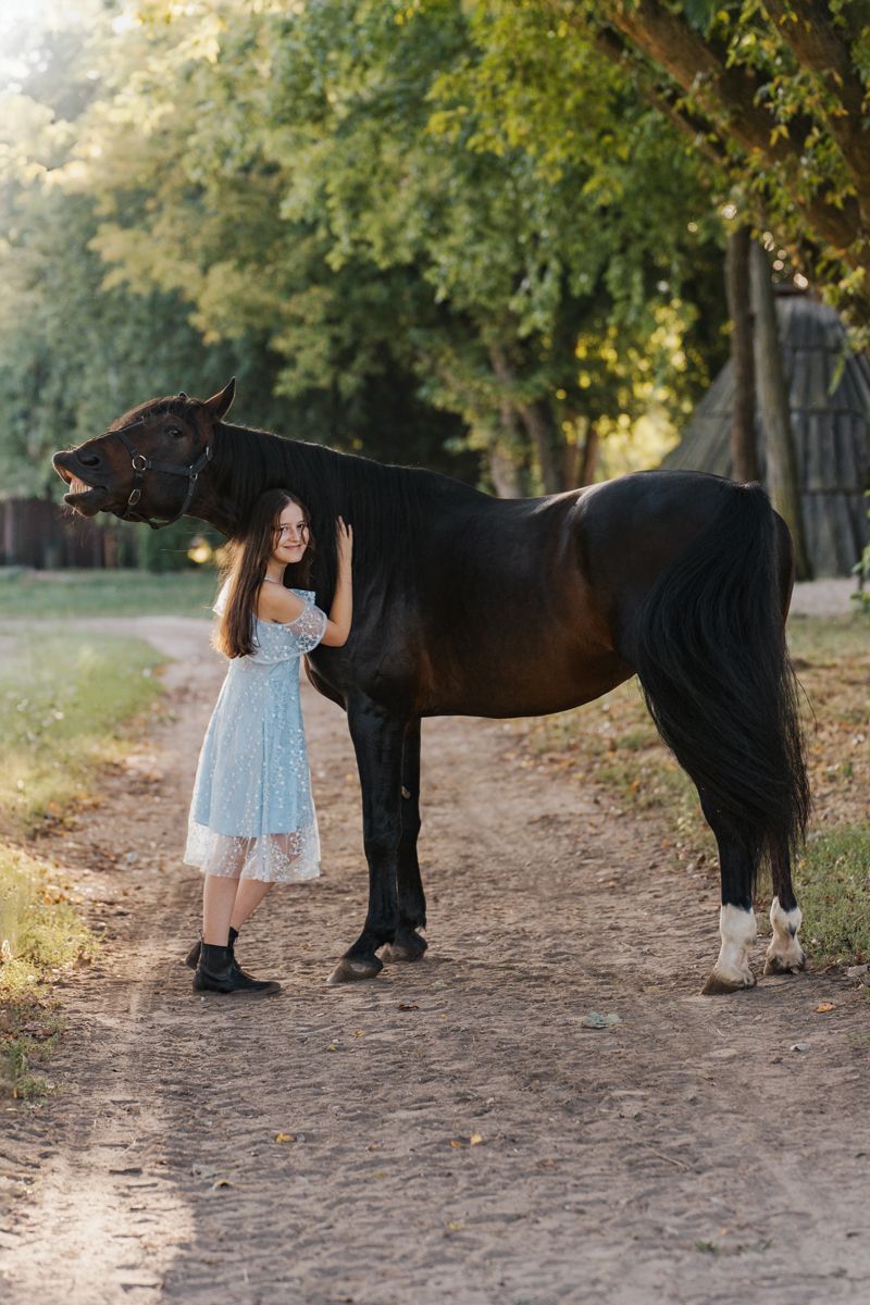 Girl in a blue dress interacting with a dark brown horse on a tree-lined dirt path during a photoshoot in Sydney