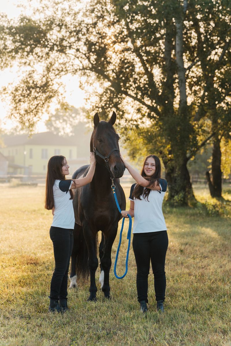 Siblings in white shirts stand with a dark horse in a sunlit meadow at golden hour photoshoot with a horse in Sydney