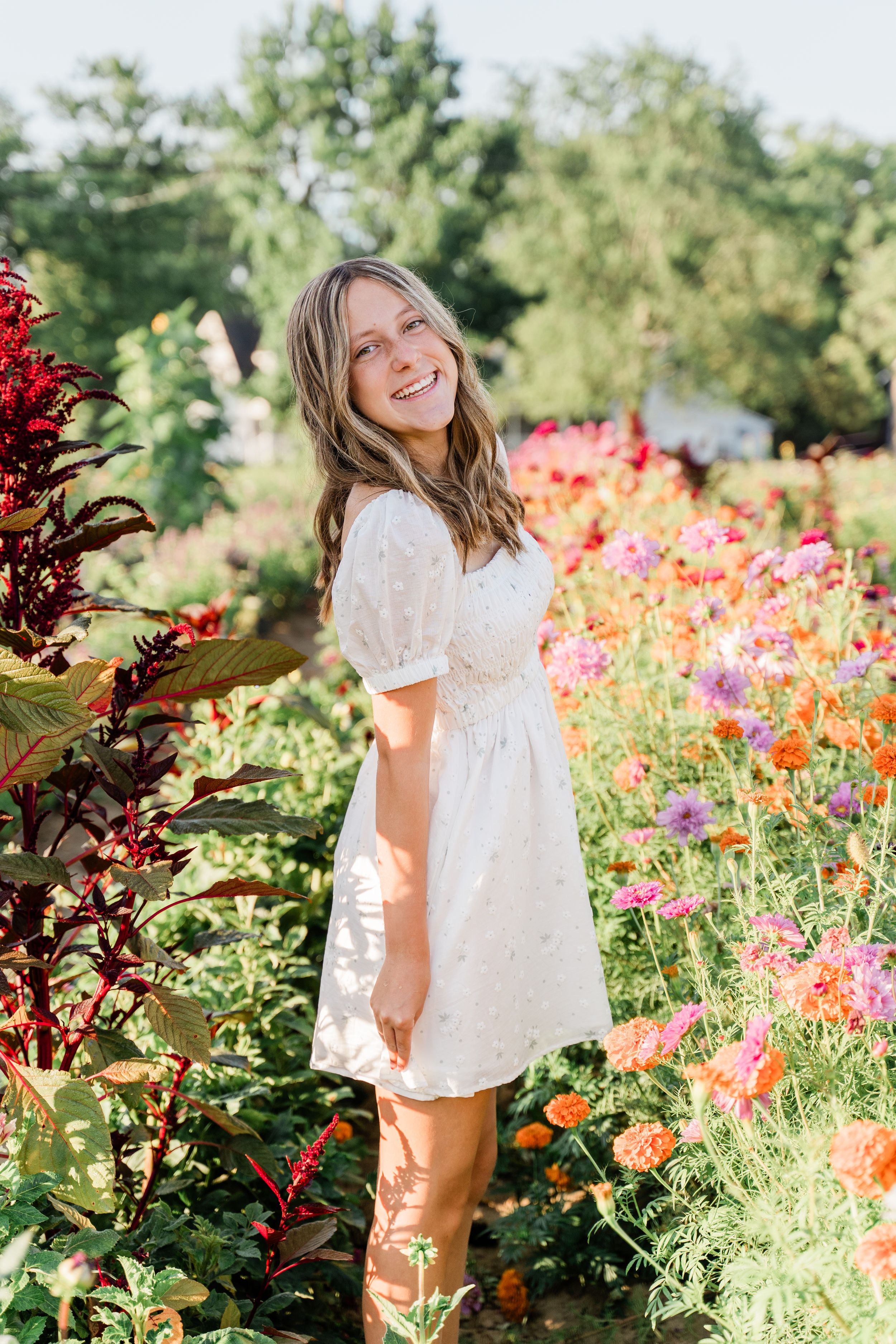 A lush garden setting features bright orange and pink flowers against green foliage on a sunny day.