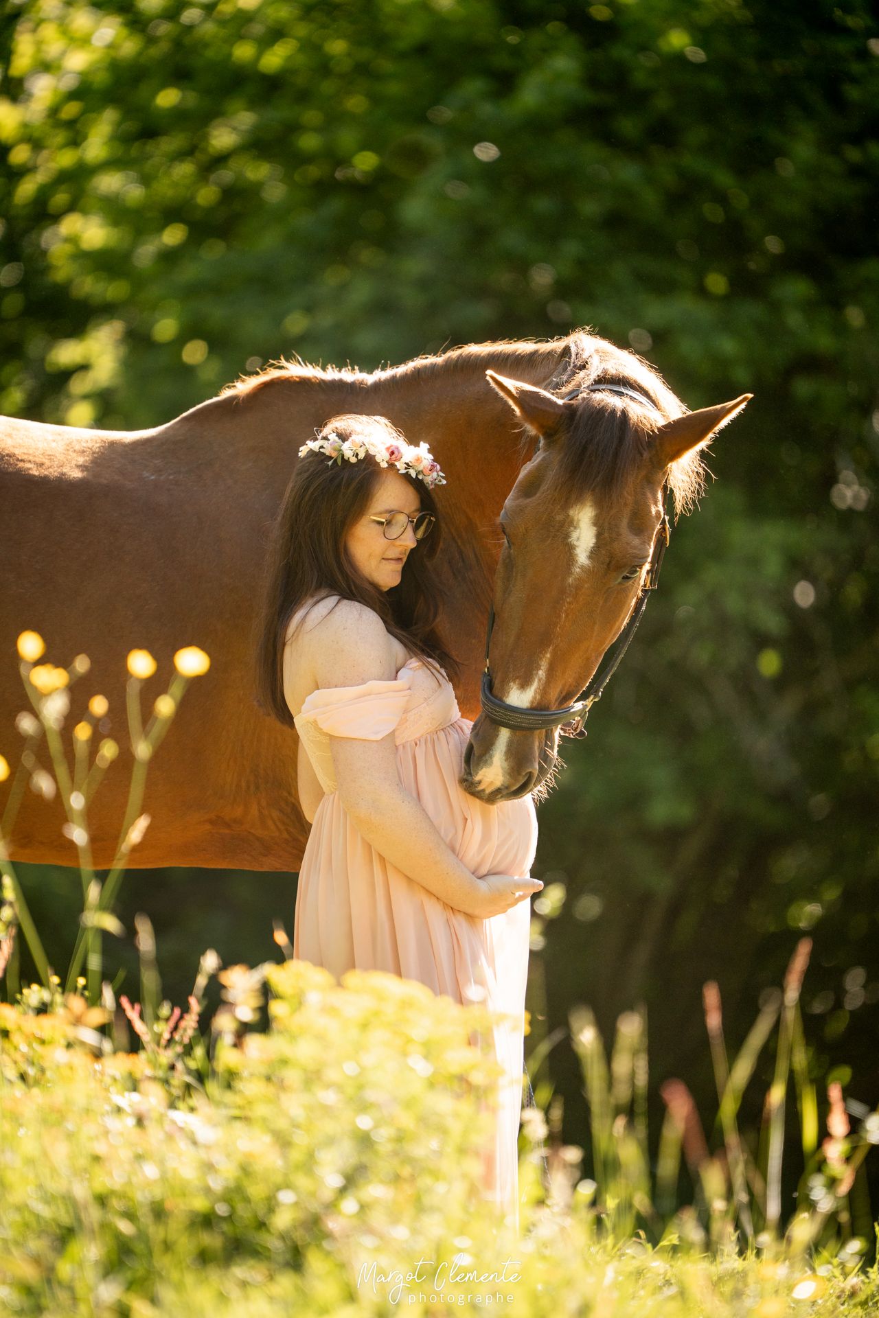 Séance photo grossesse cheval chien Alsace