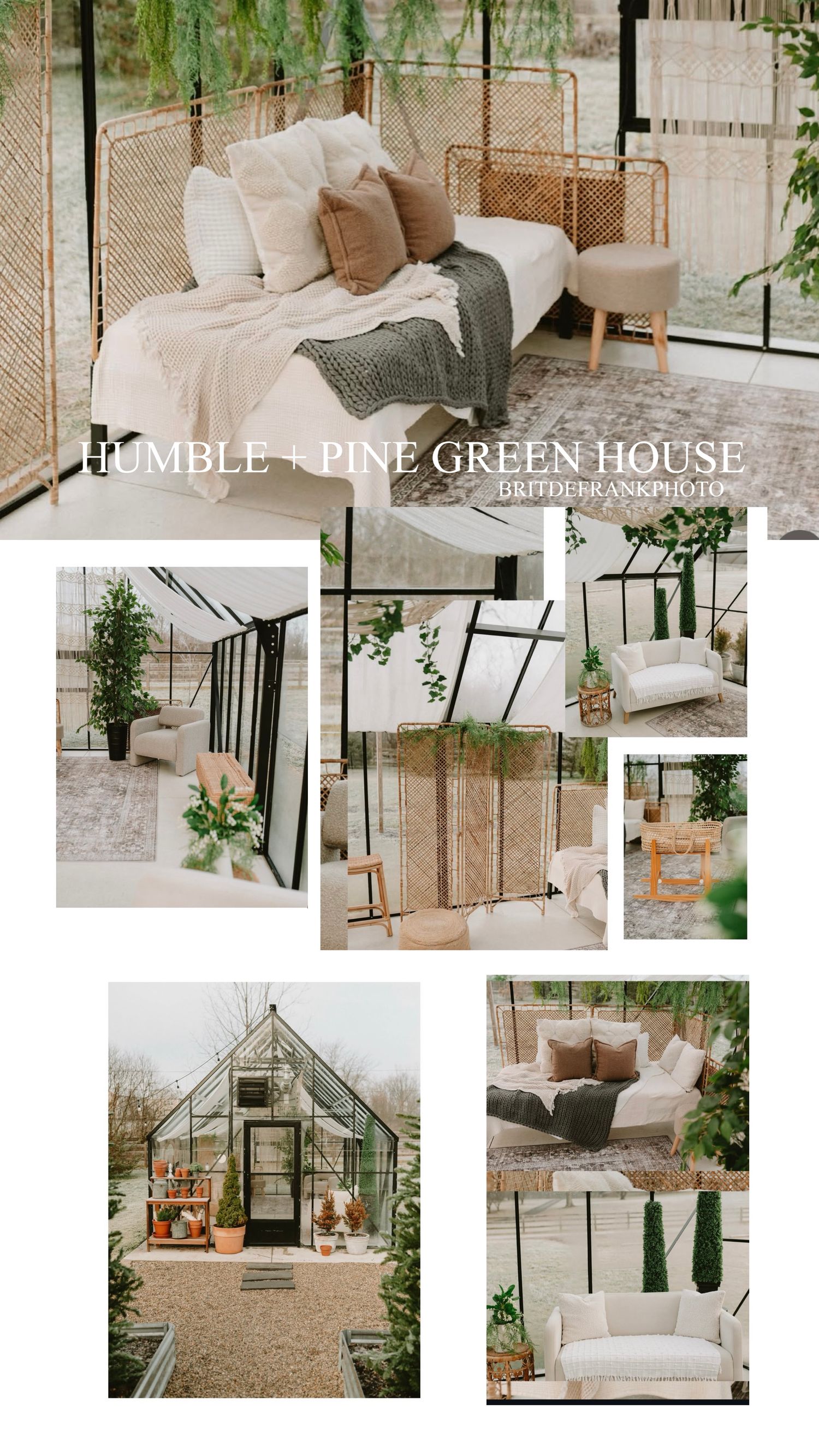 Cozy greenhouse interior with neutral furniture, hanging plants, and natural light streaming through glass panels.