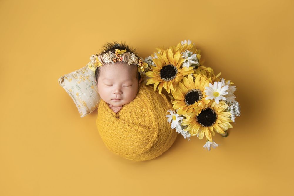 Seattle best Newborn photo
seattle Newborn photographer recommendation
Bellevue best newborn photo
Seattle milestone photo
Seattle family ph