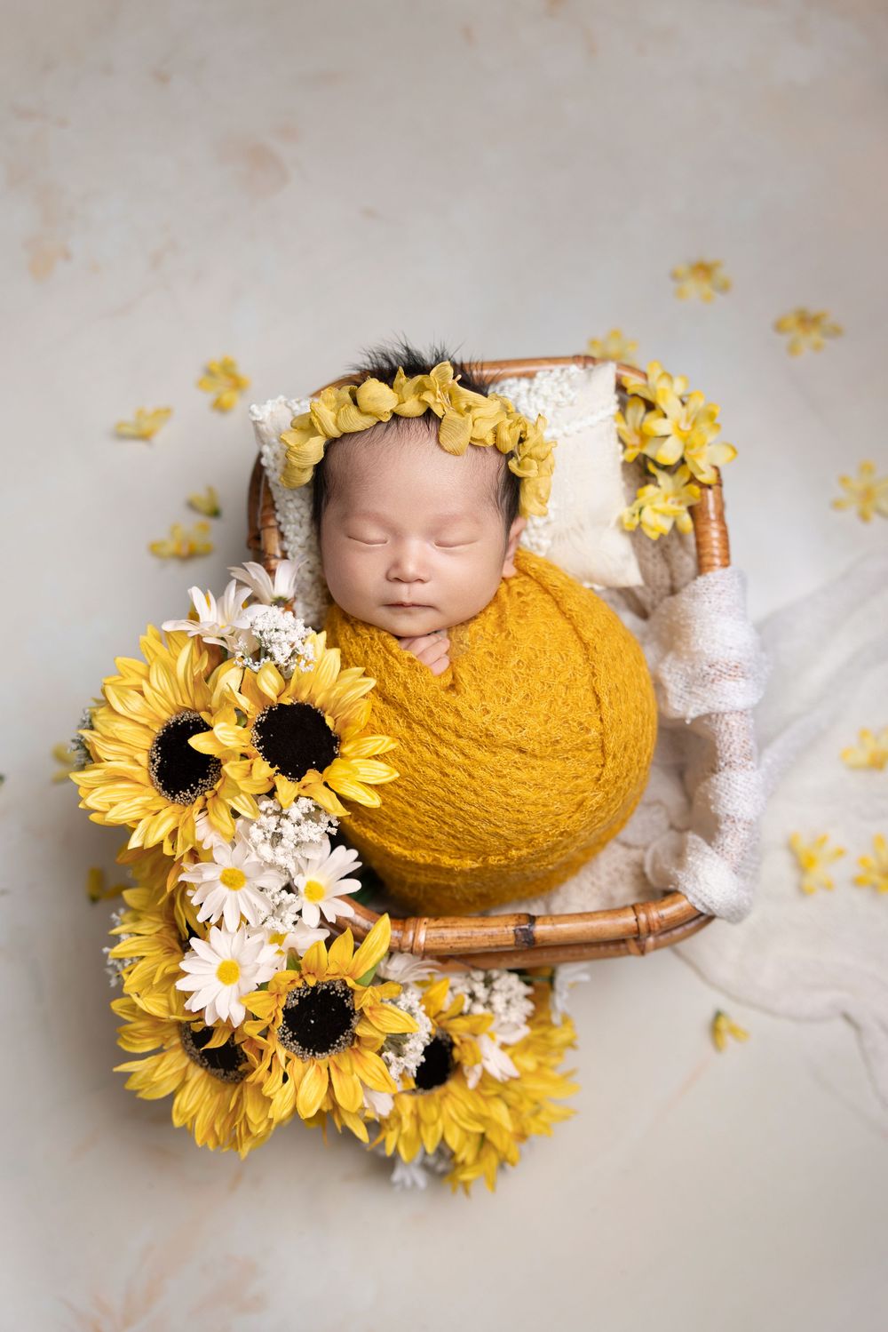 Seattle best Newborn photo
seattle Newborn photographer recommendation
Bellevue best newborn photo
Seattle milestone photo
Seattle family ph