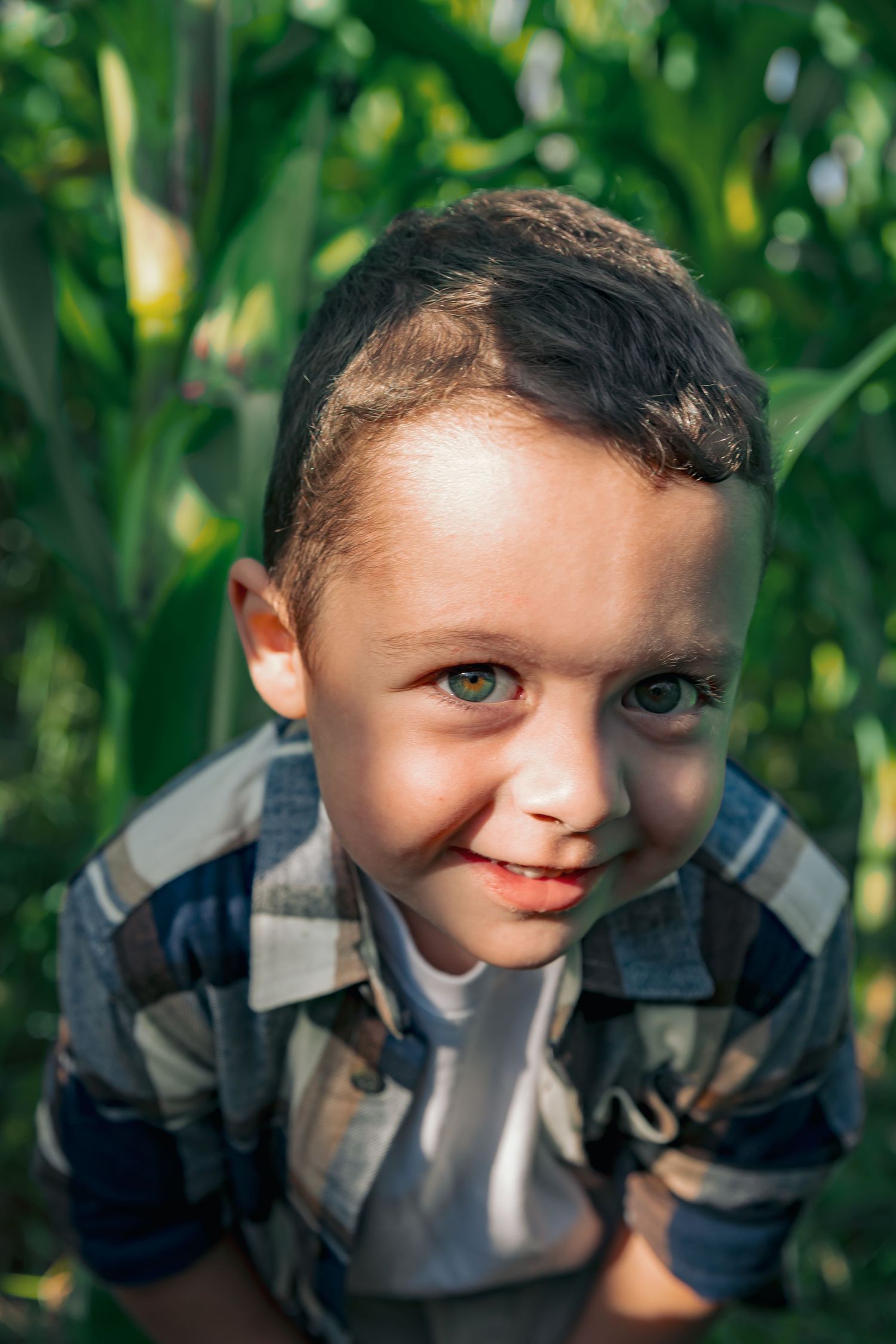 Adorable smiling young boy in plaid shirt looking up at camera in front of green cornfield.