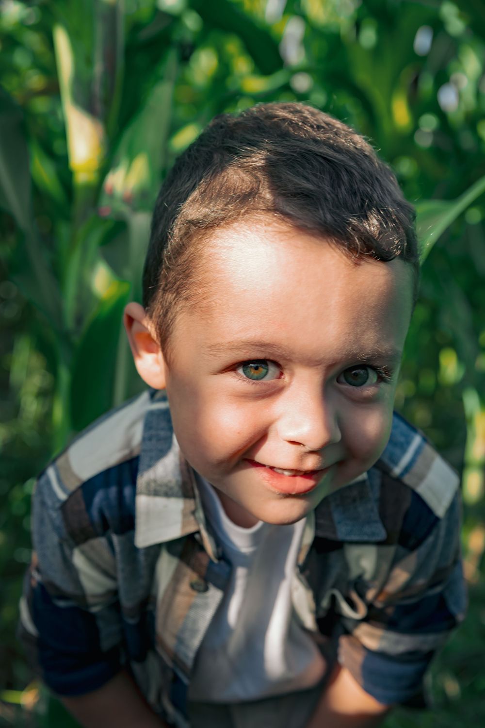Adorable smiling young boy in plaid shirt looking up at camera in front of green cornfield.