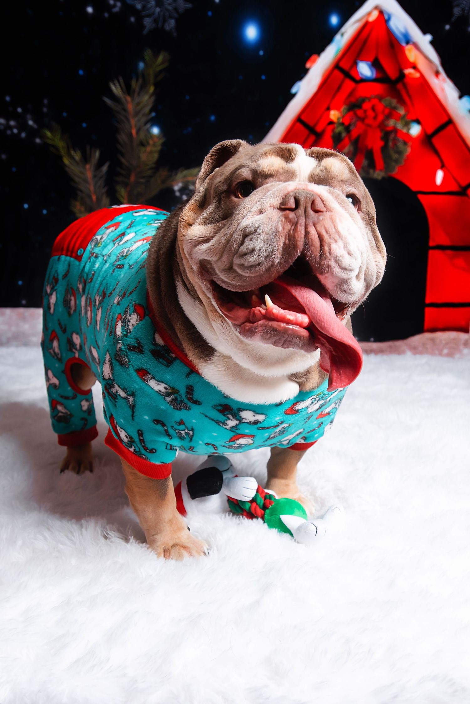 English bulldog wearing festive green Christmas pajamas poses in snow next to red doghouse at night.