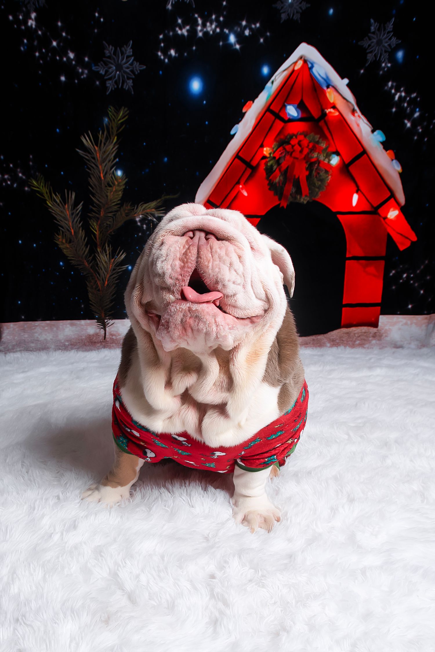 Wrinkly bulldog wearing red collar sits in snow scene with illuminated red doghouse and small pine tree in background.