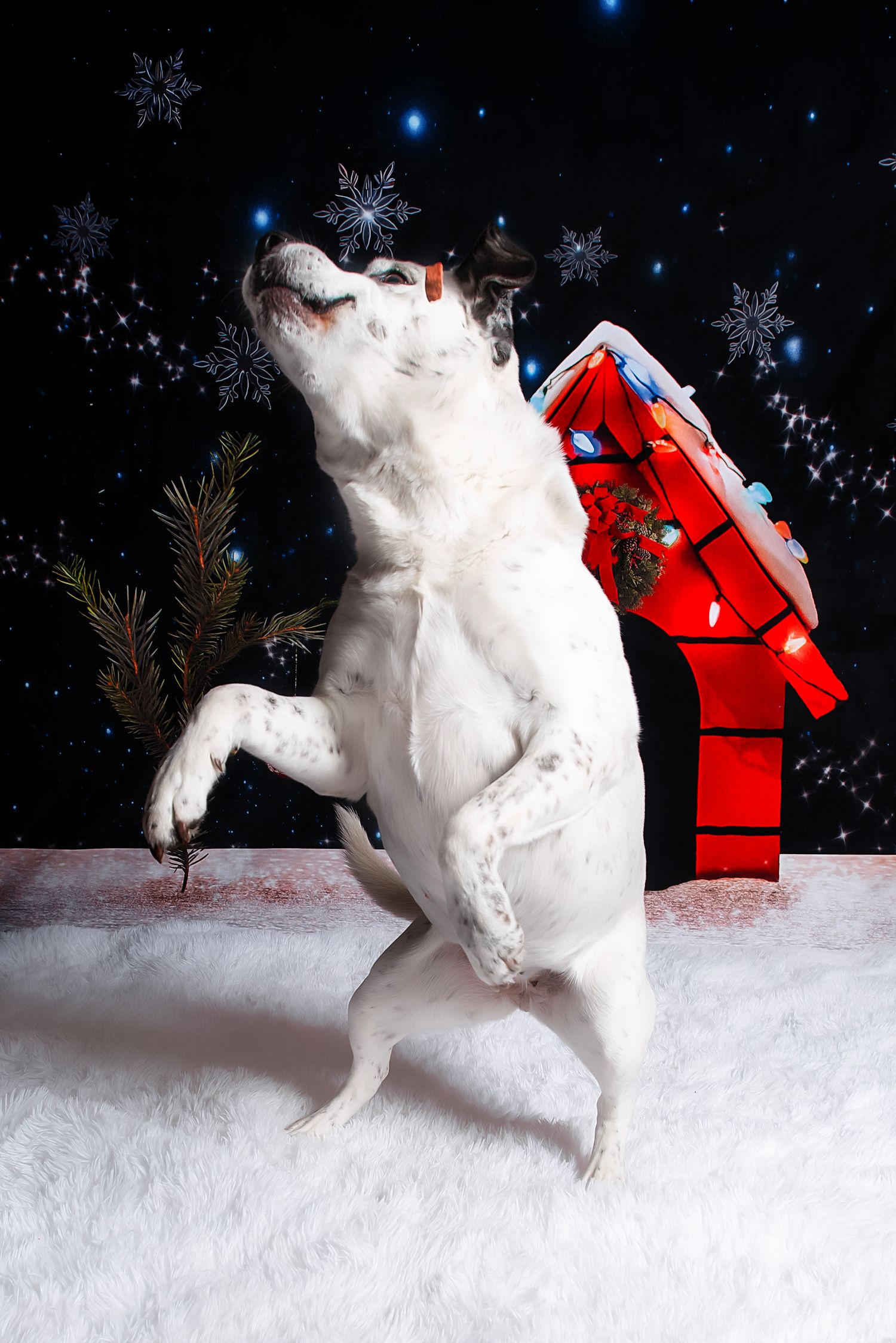 A white rabbit sculpture stands upright in snow against a dark background with snowflakes and a red birdhouse decoration.