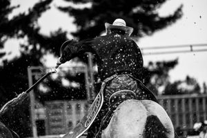 A black and white rodeo photo of a rider on a horse swinging a rope as dirt sprays through the air.