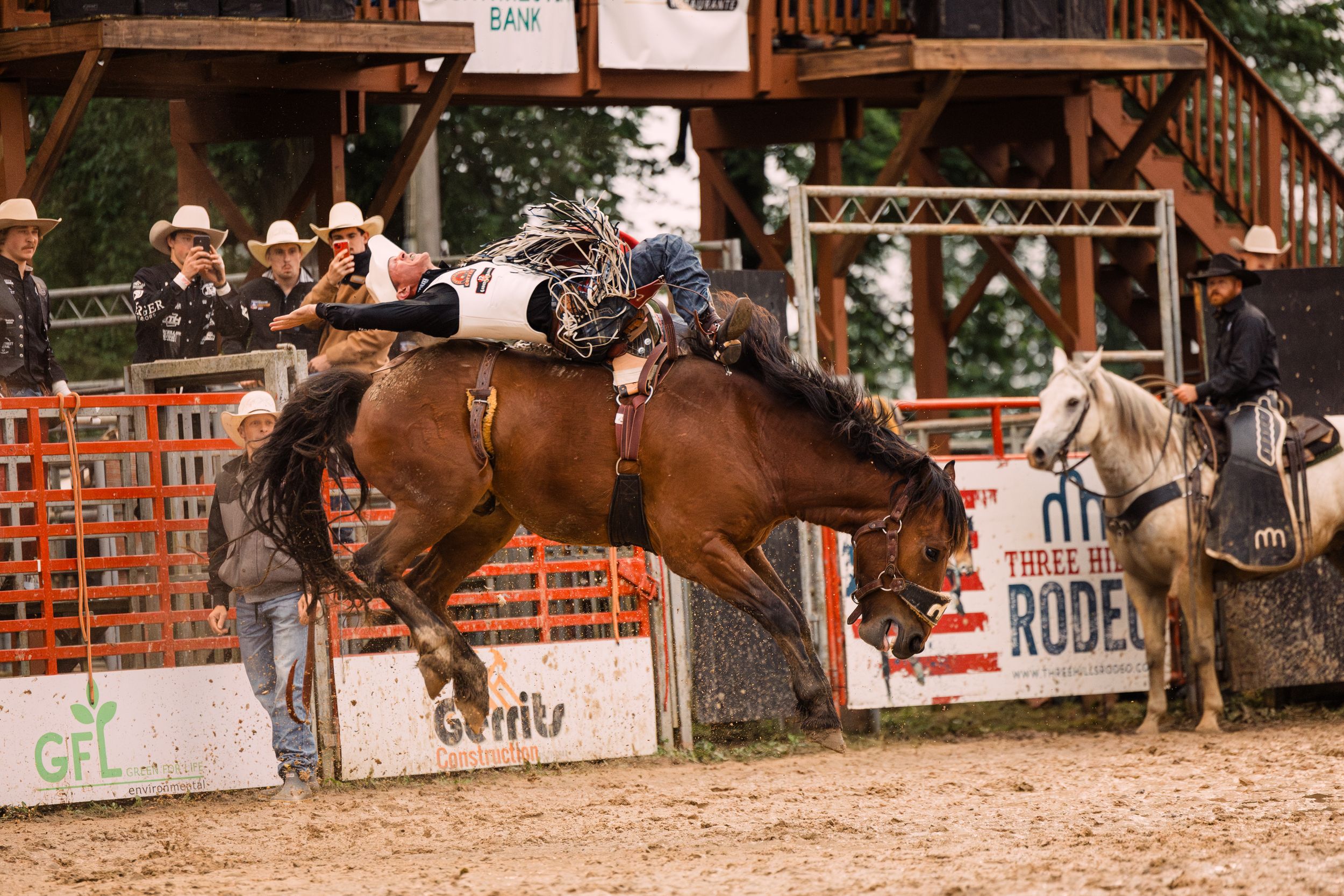 A cowboy leans back in the saddle as a brown bucking horse arches mid-air during a bronc riding event at a crowded rodeo.