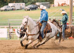 A cowboy in a blue shirt and white hat rides a gray horse hard through the dirt during a rodeo roping event.