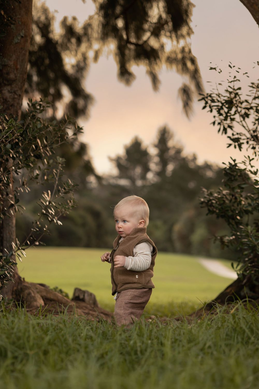 Portrait of 1 year old boy walking over the grass with trees either side of him with leafy greens framing picture. Sunset in background