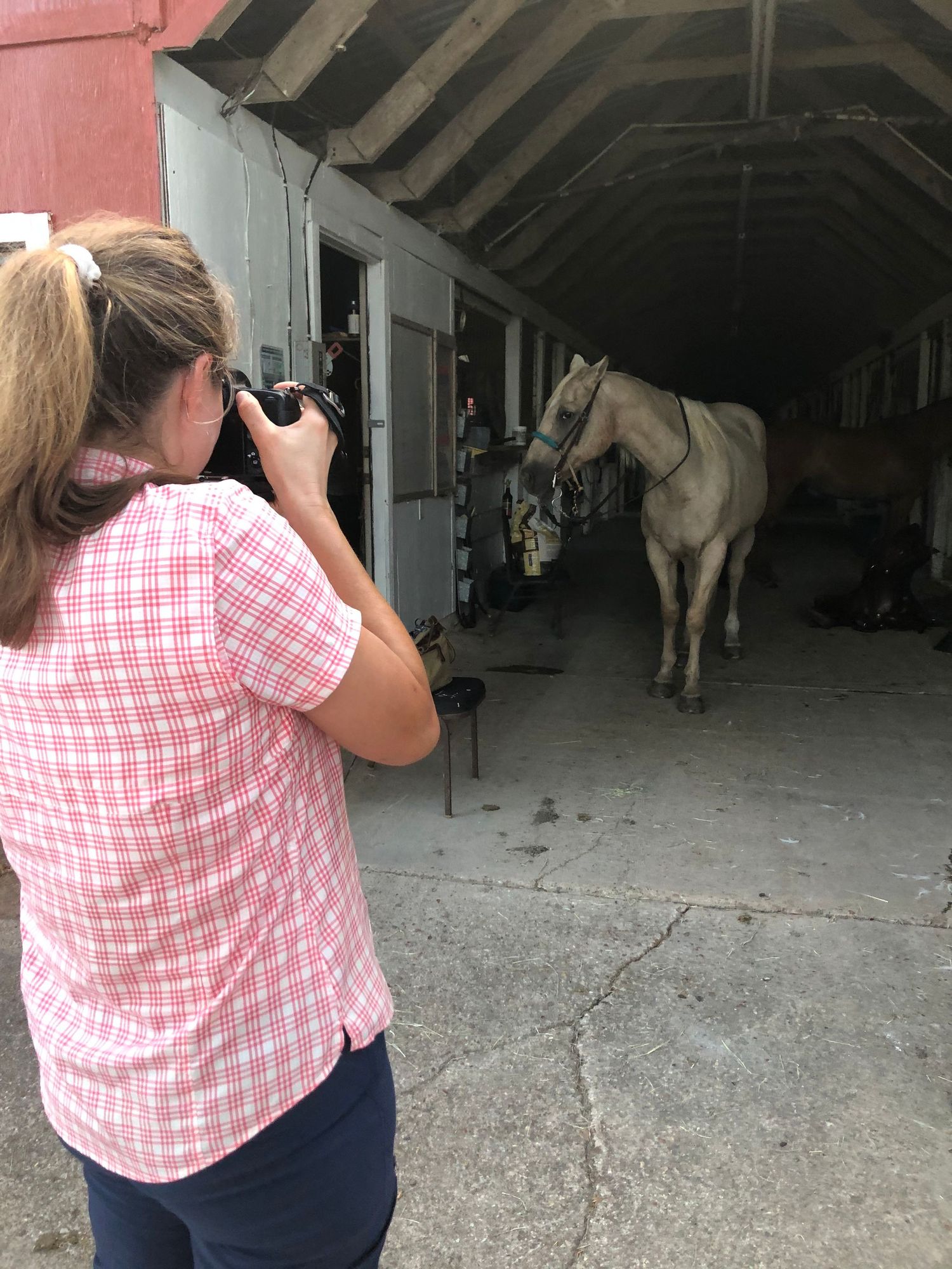 Photographer in pink plaid shirt takes pictures of a light-colored horse standing in a barn stable aisle.