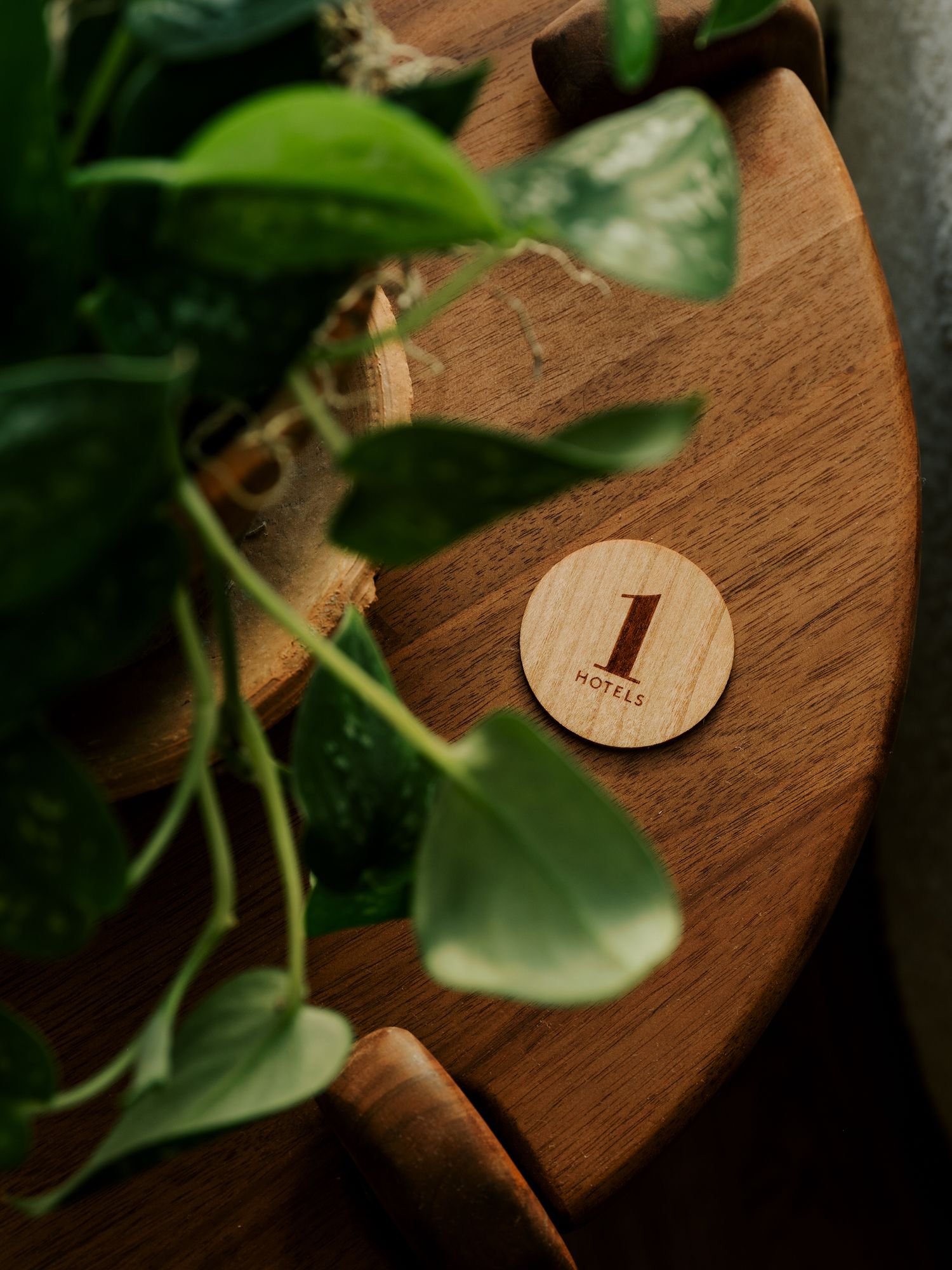 Close-up view of a wooden surface with green plant leaves and a small engraved number one detail in natural lighting.