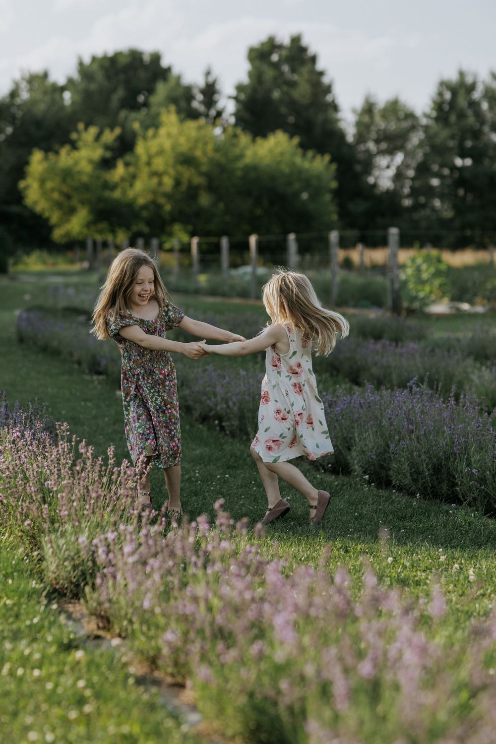 Two young girls holding hands and dancing in a garden with blooming lavender.