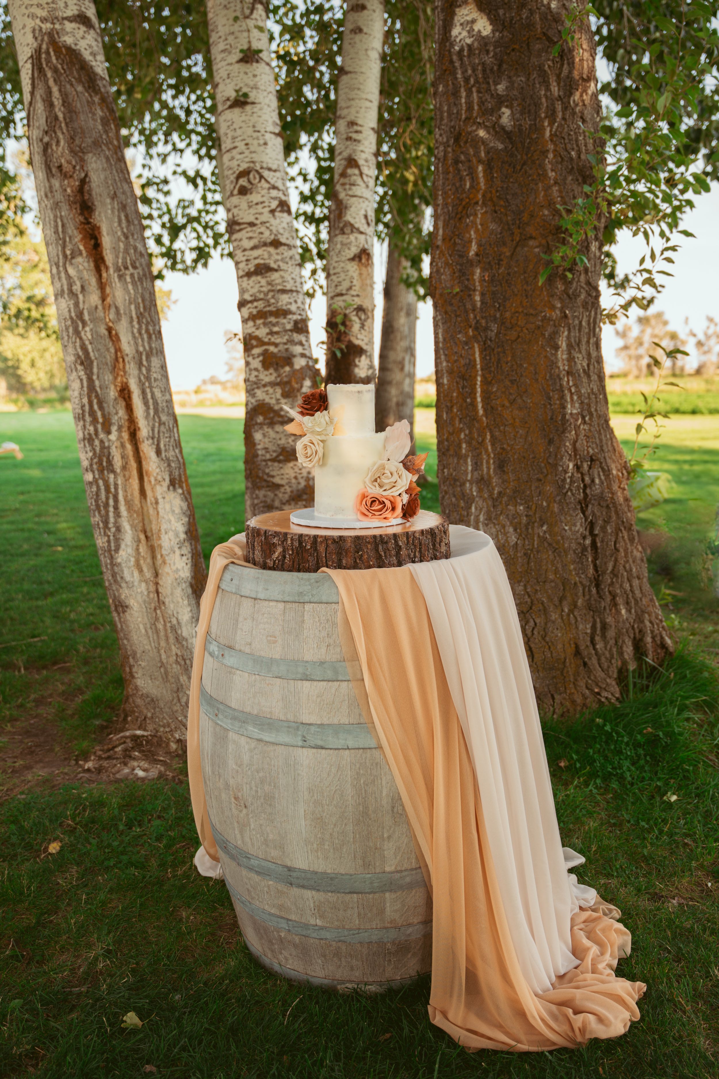 Rustic wine barrel decorated with peach fabric draping among birch trees in an outdoor setting.