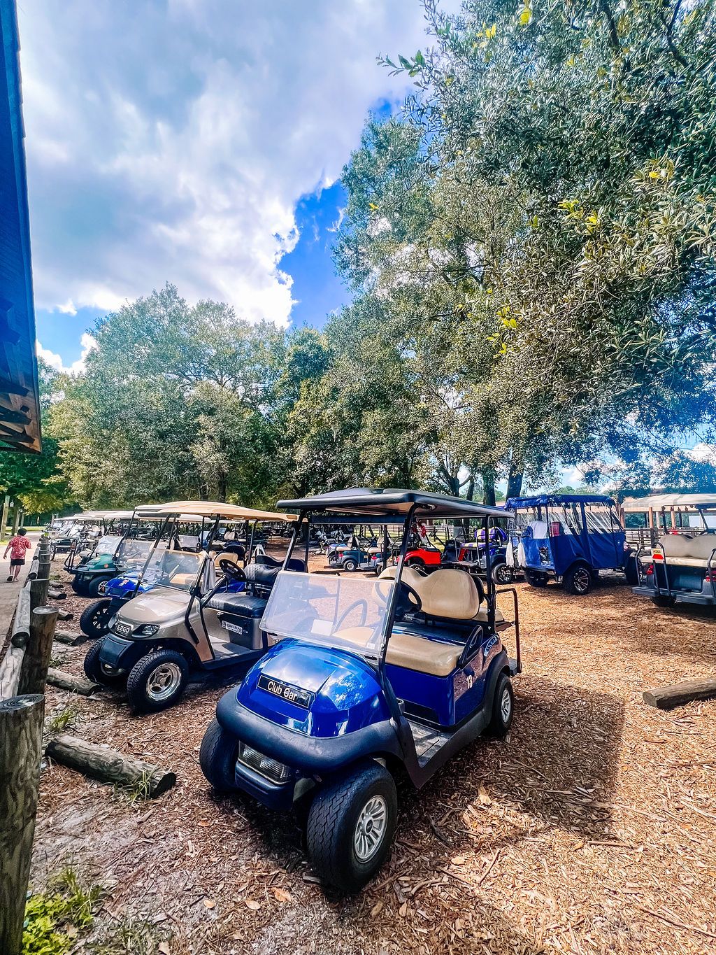 Multiple golf carts parked under trees at a resort area.