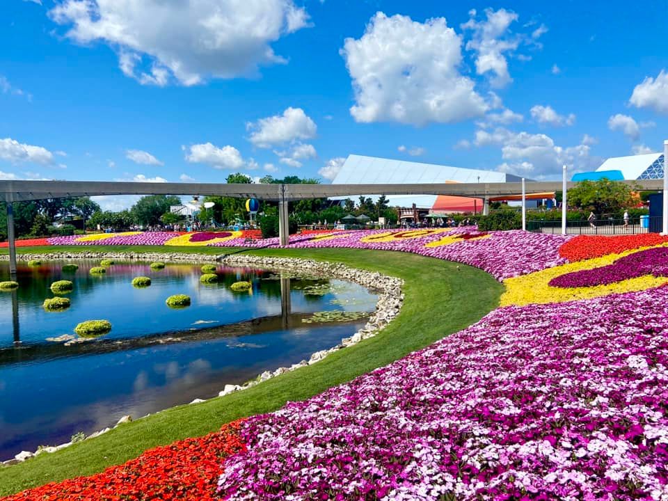 Beautiful flower garden with pink and red blooms surrounding a pond at EPCOT.