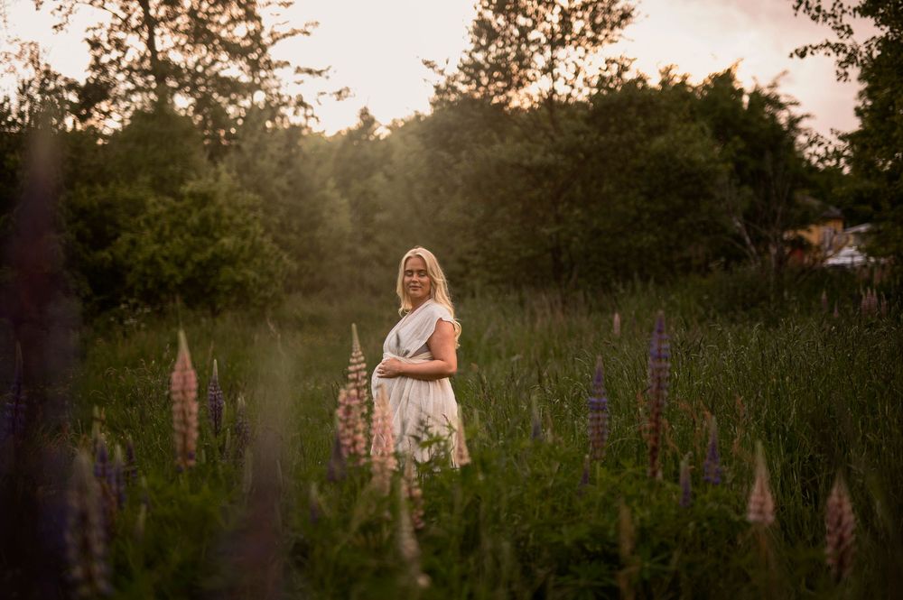 A dreamy summer evening scene in a wildflower meadow filled with purple lupines at golden hour.