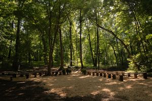 Natural woodland ceremony space with wooden bench seating arranged in rows under tall trees.