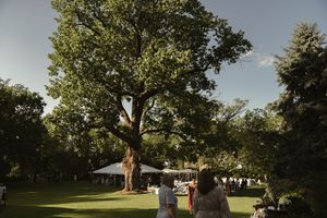 An outdoor wedding ceremony setup with white chairs and tents on a sunny lawn.