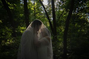 A dreamy forest scene with sunlight filtering through trees and ethereal white fabric.
