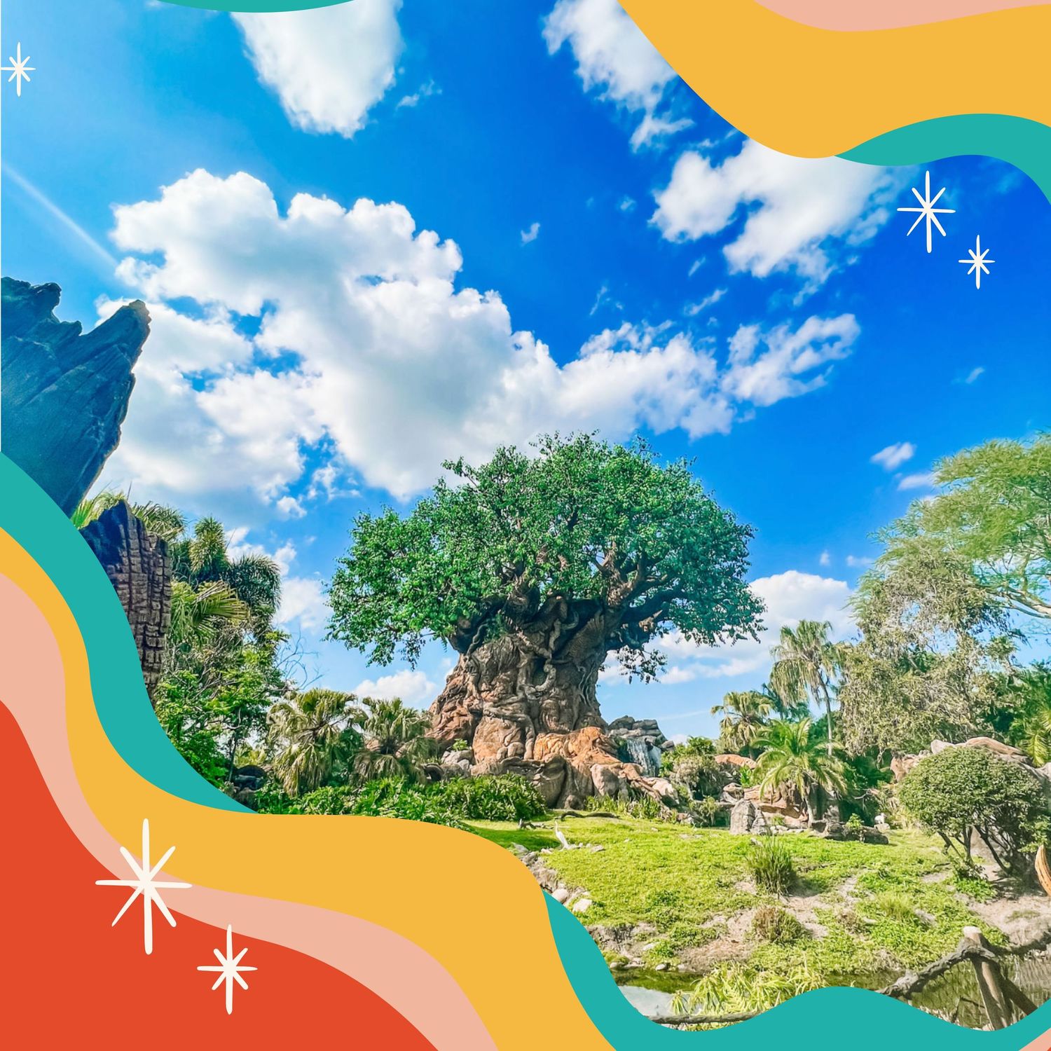 Photo of the Tree of Life