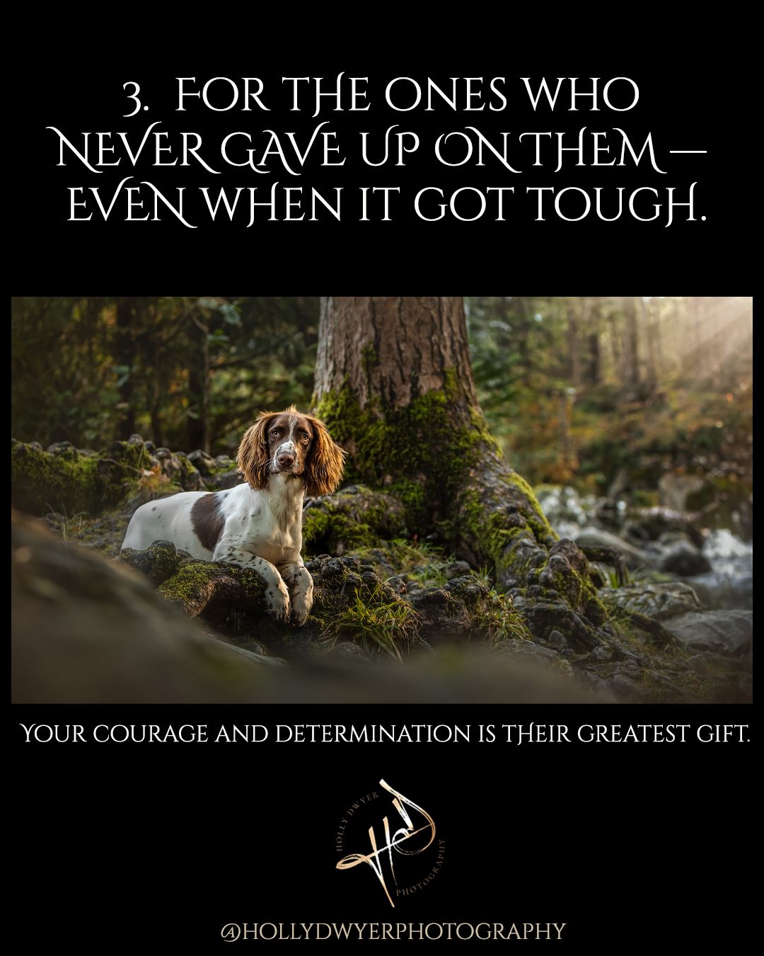 best pet photography family manchester