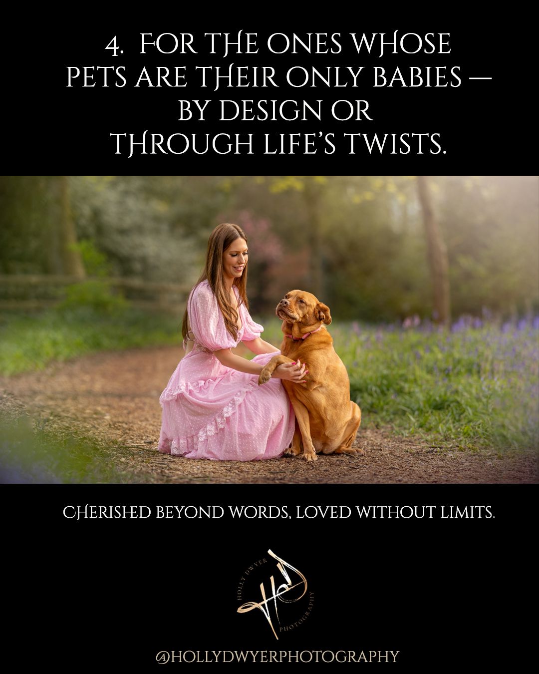 cheshire best pet photographer