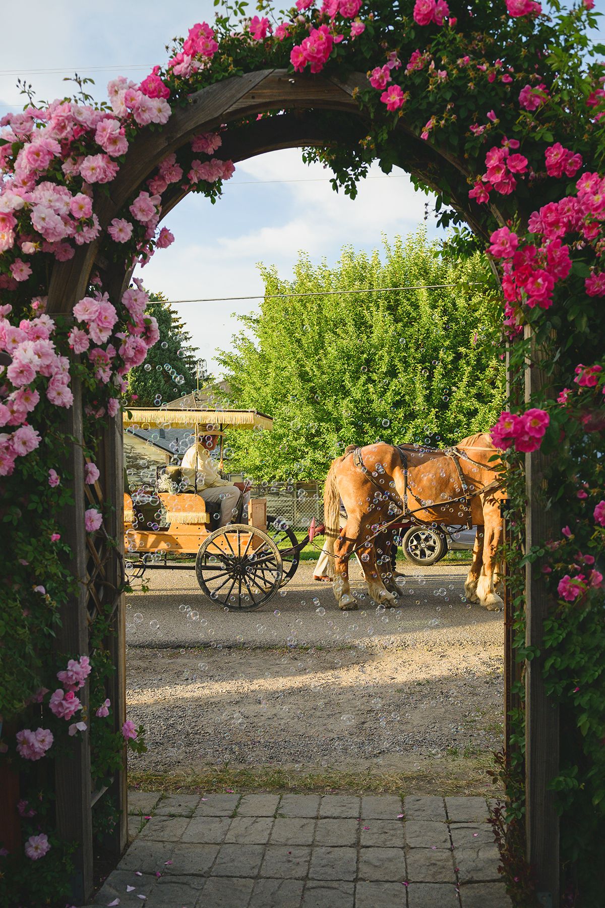 Blackfoot wedding photographer ShutterGirl send off with horse and carriage at backyard wedding in Blackfoot idaho