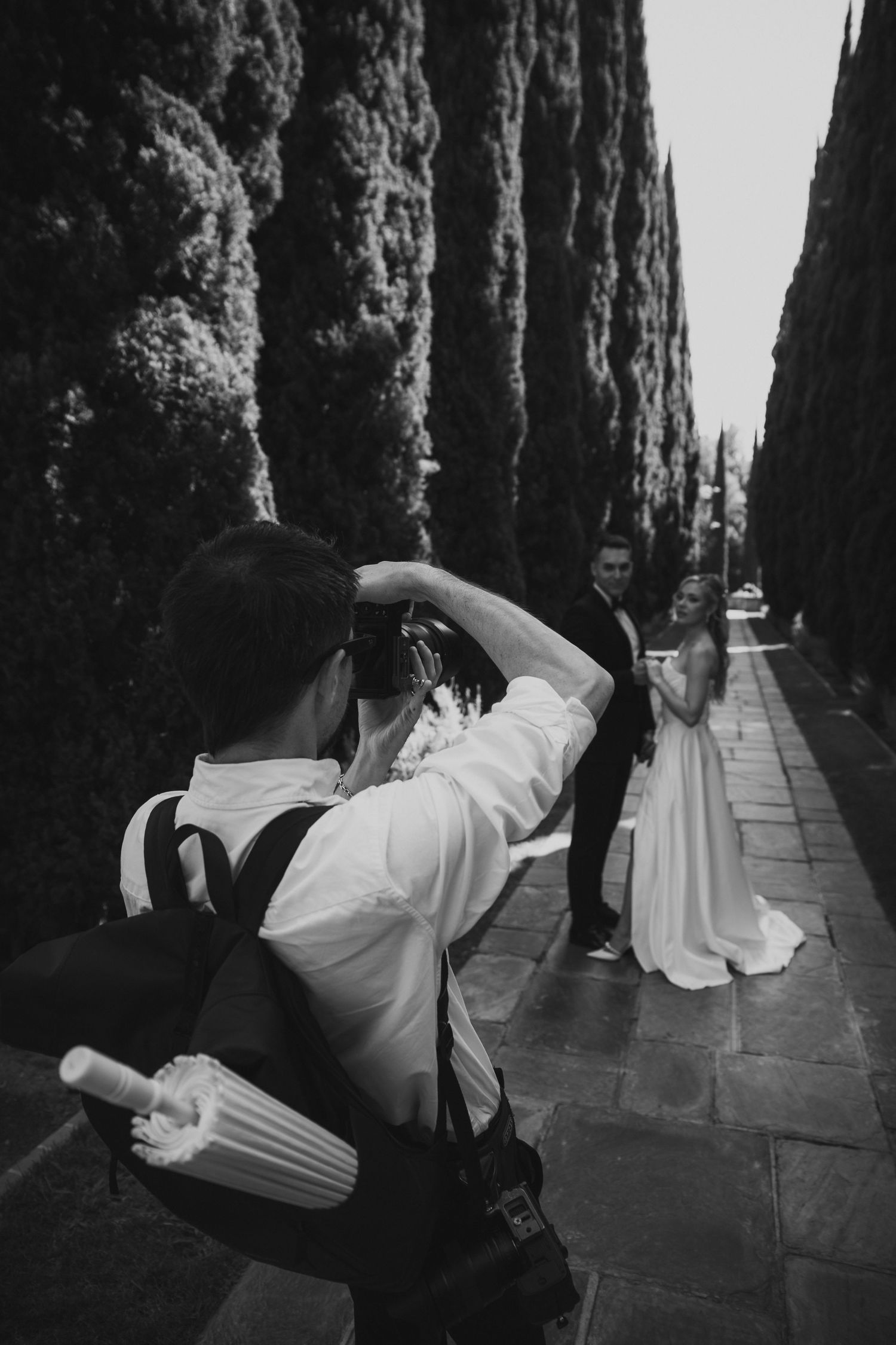 A series of black and white dance performance photos showing movement along a stone pathway bordered by tall trees.