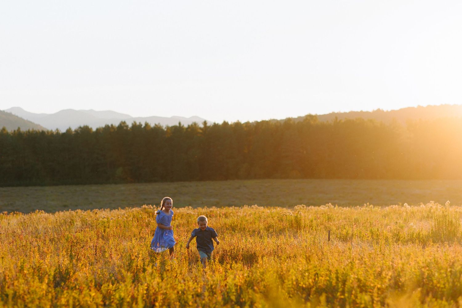 Two people walking through a golden wheat field at sunset with mountains and forest in the background.