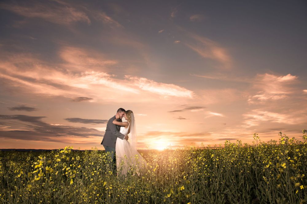 Silhouette of wedding couple in canola field during golden sunset.