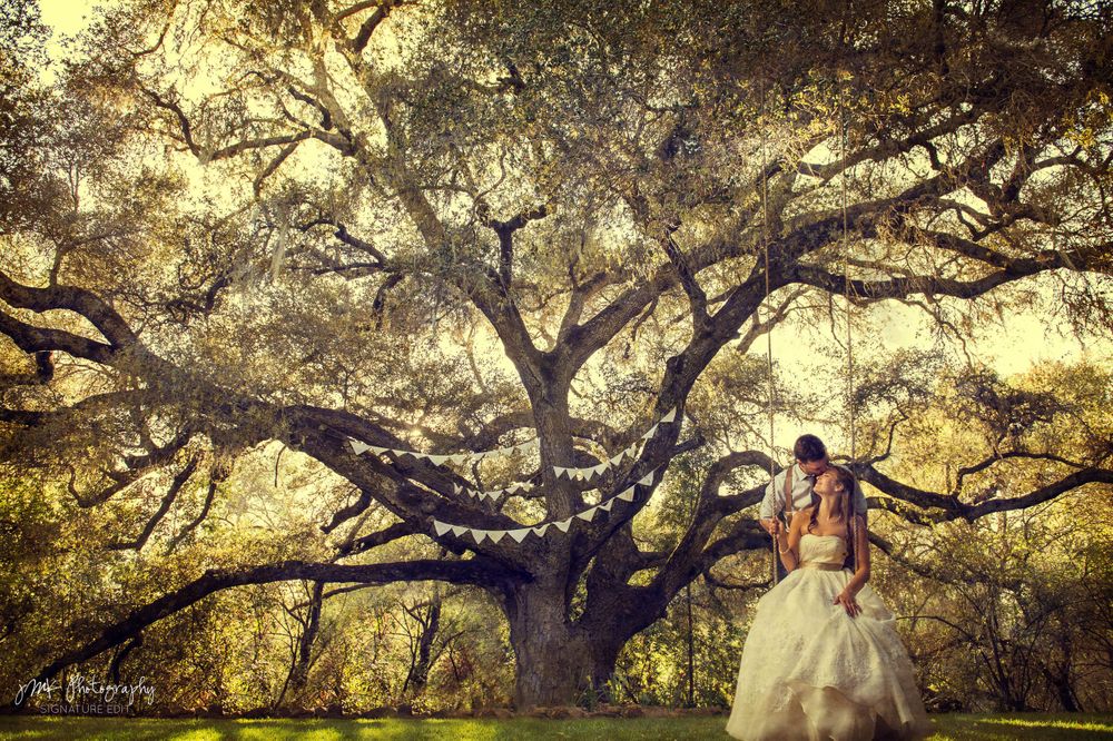 A dreamy wedding portrait featuring a dress flowing in the breeze under a majestic oak tree with golden sunlight.