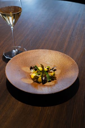 Elegant plated dish with microgreens on textured ceramic plate beside wine glass.