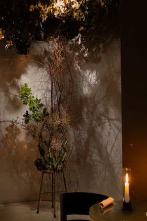 Atmospheric still life with candlelight illuminating delicate tree branches against a dark shadowy wall.